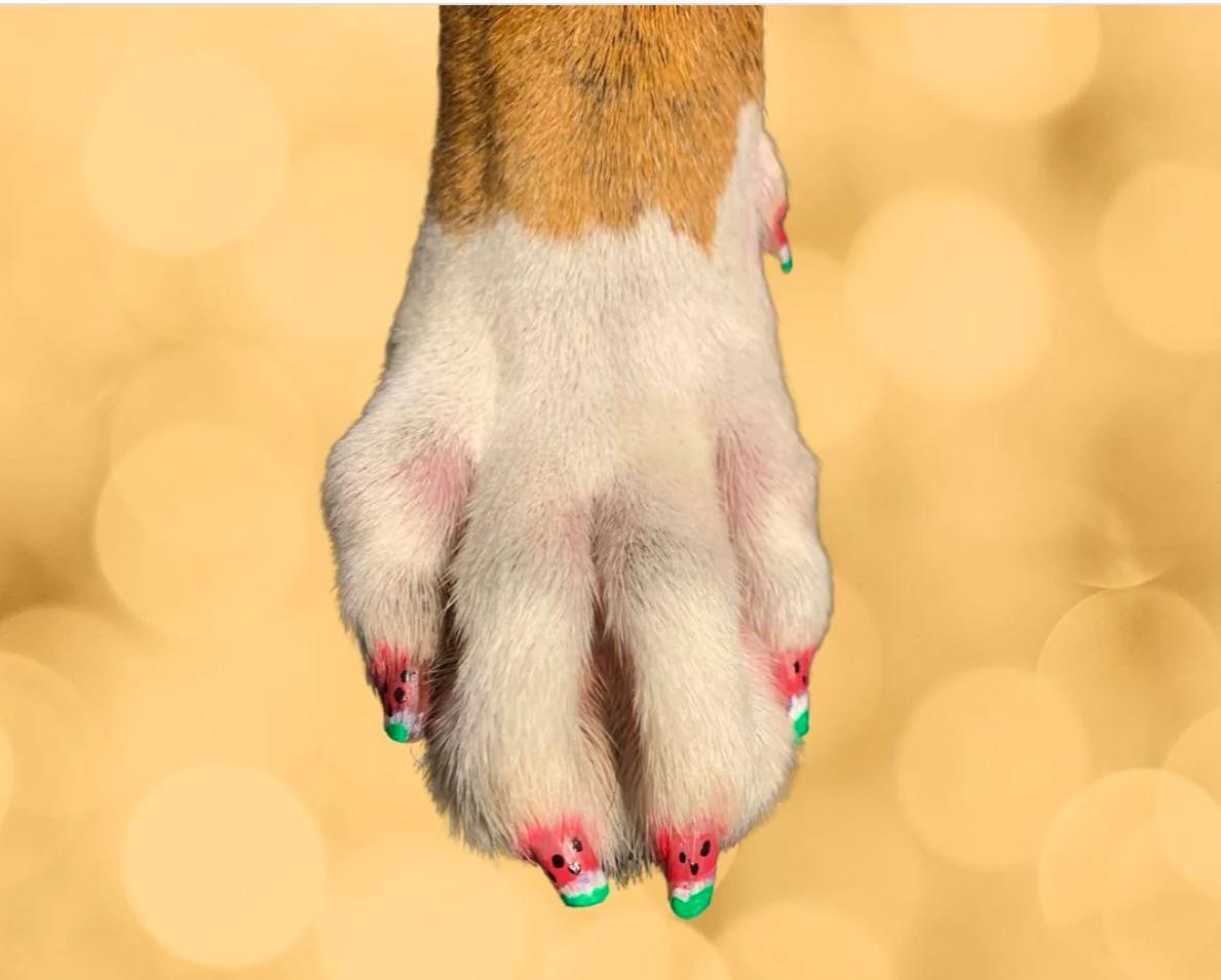 Product image 23